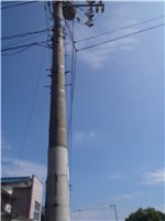 サムネイル.6